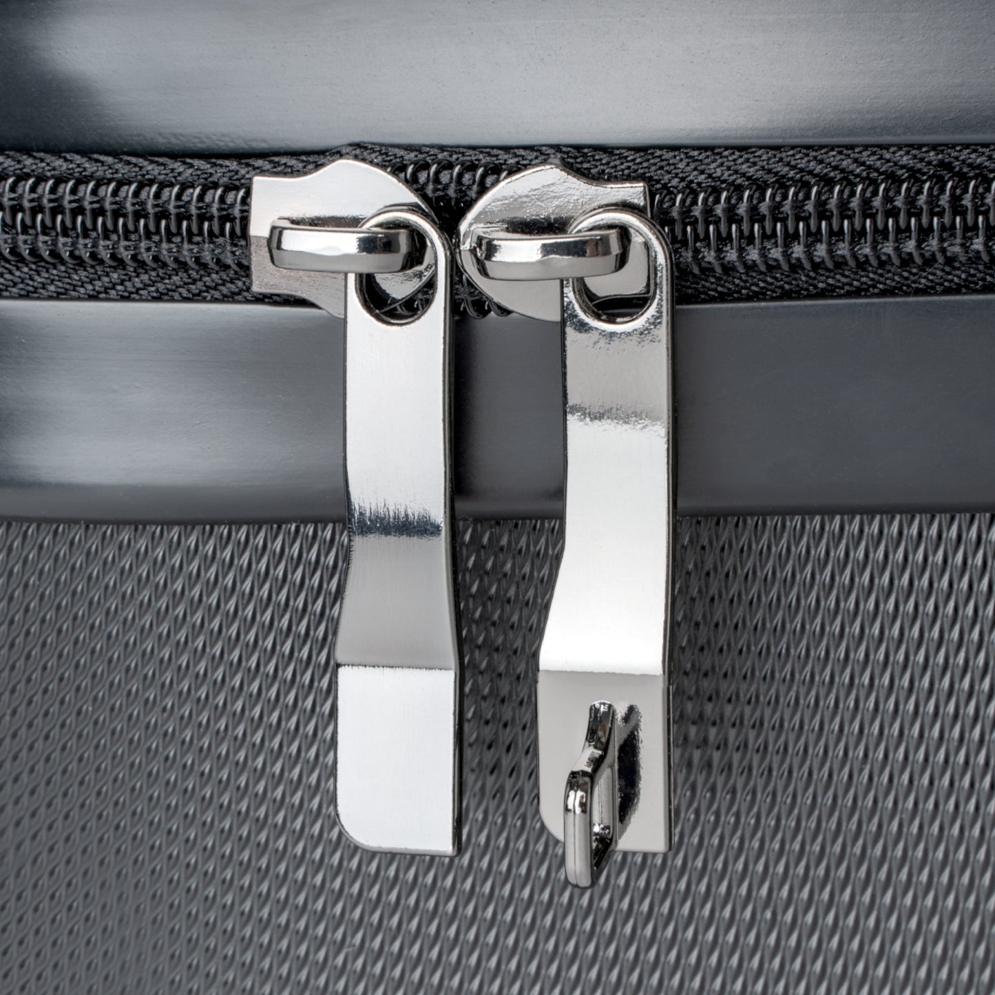 Tokyo Lion photo -Suitcases