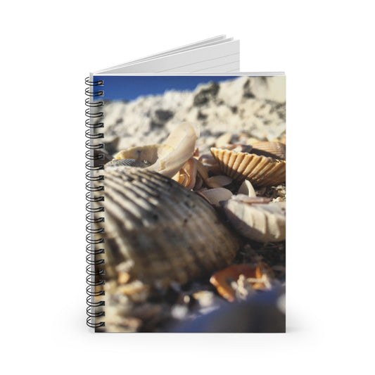 Beach Shells -Spiral Notebook - Ruled Line