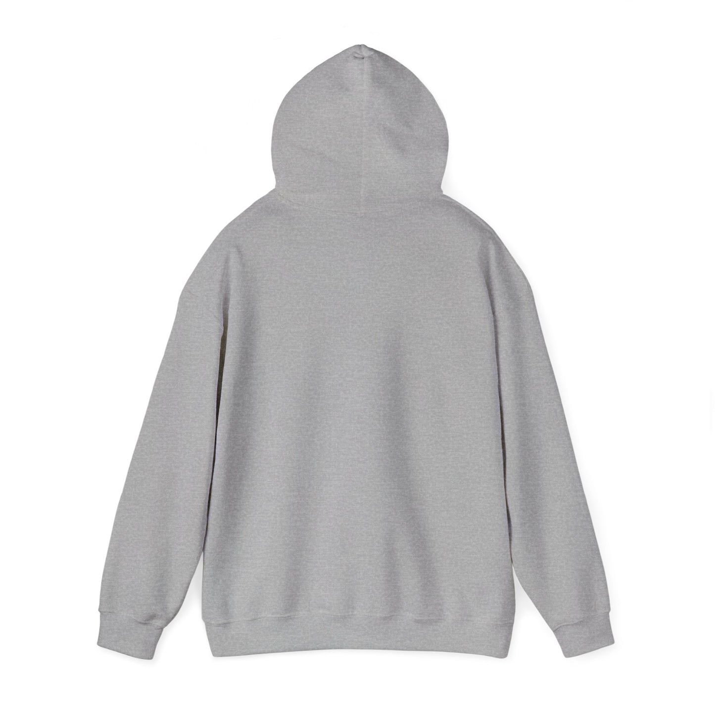 This Could've Been an Email Hoodie – Funny Whiskey Glass & Bottle Graphic Hooded Sweatshirt
