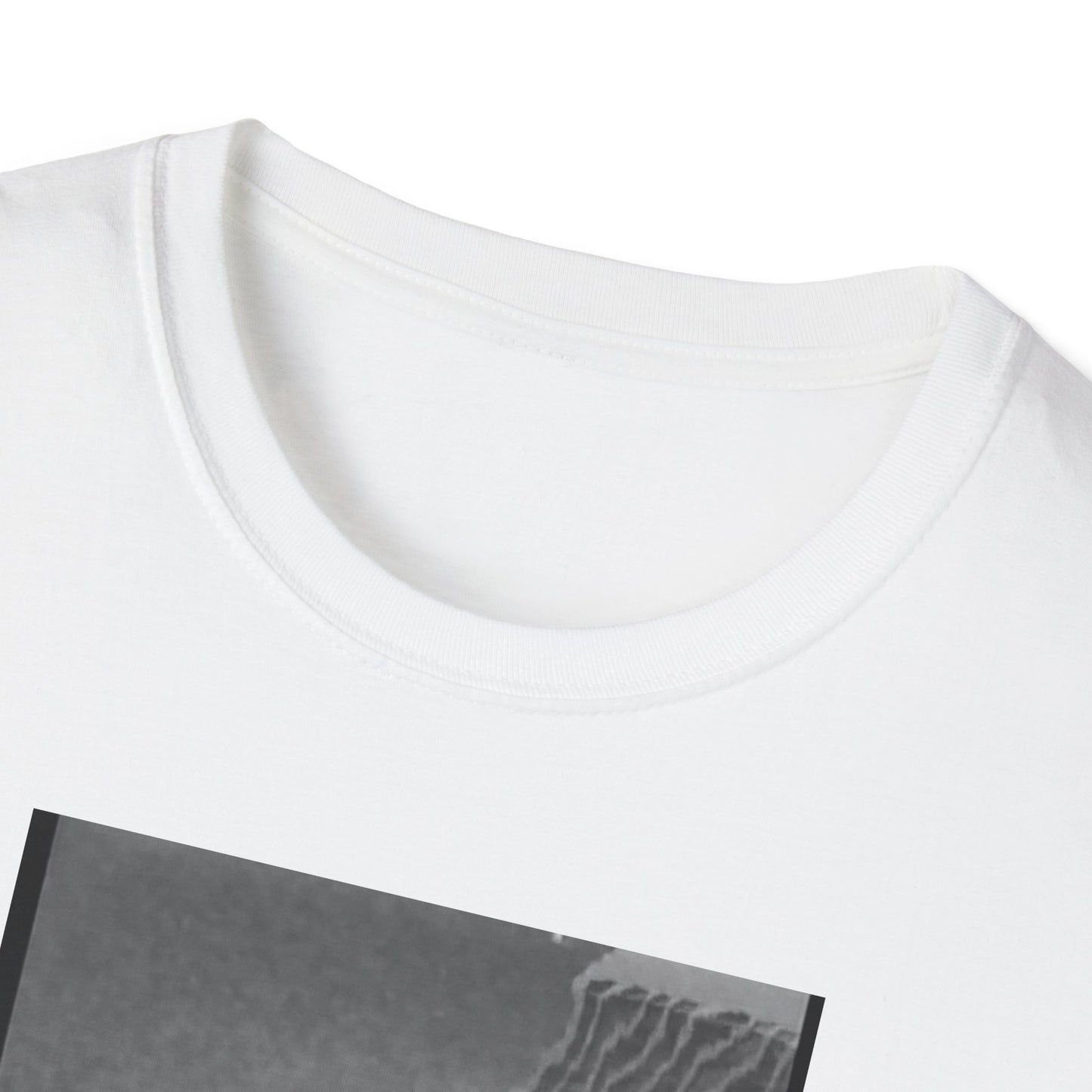 RIP Pepe Reflection- Unisex Softstyle T-Shirt