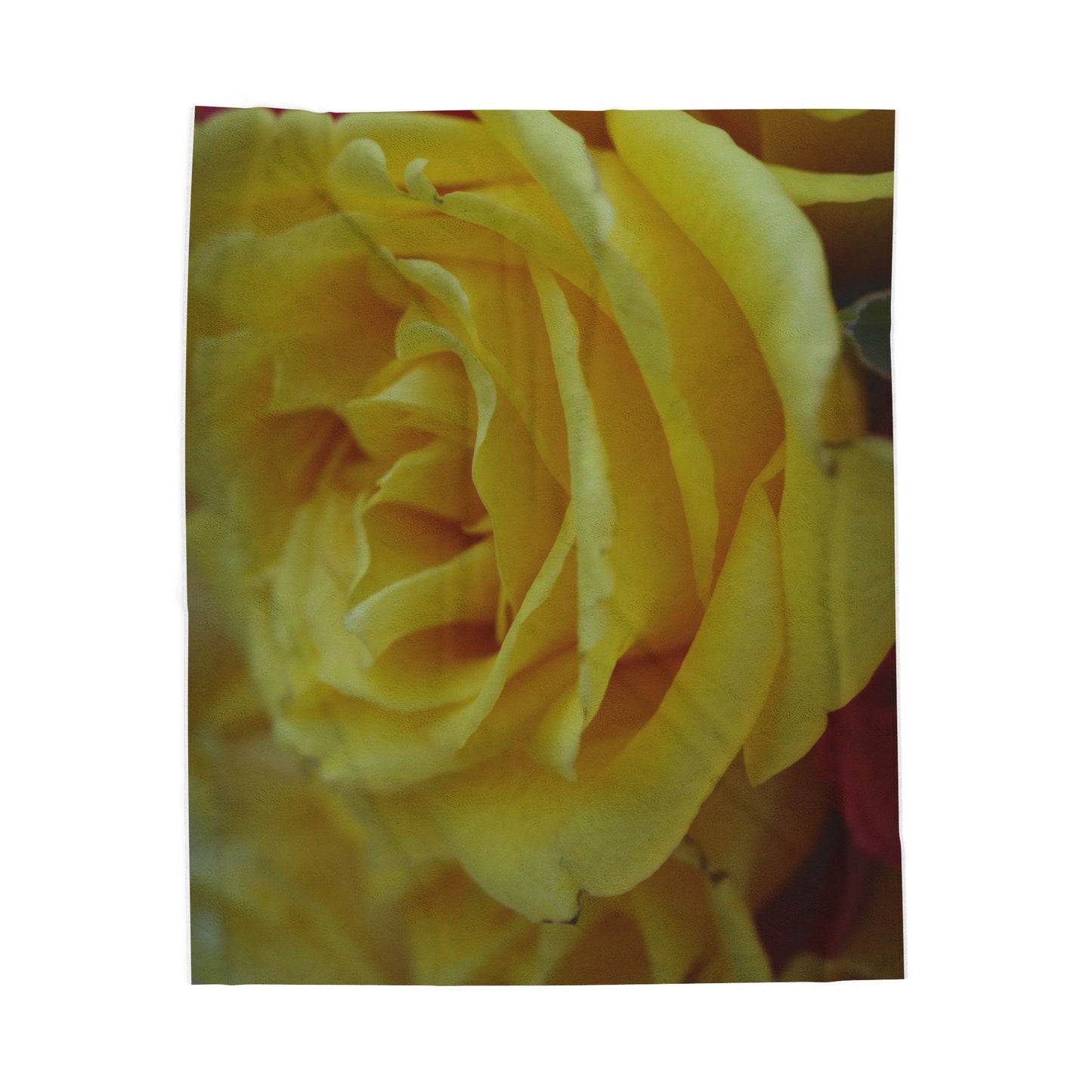 Flowers - Yellow- Velveteen Plush Blanket