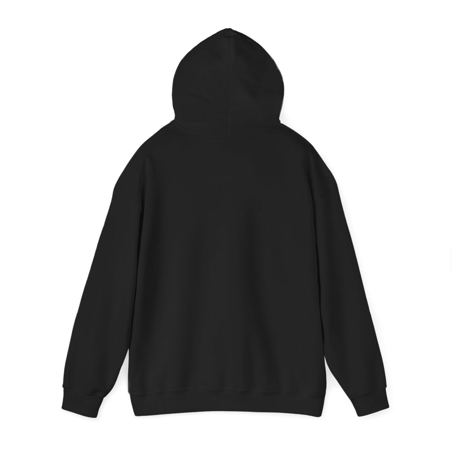 This Could've Been an Email Hoodie – Funny Whiskey Glass & Bottle Graphic Hooded Sweatshirt