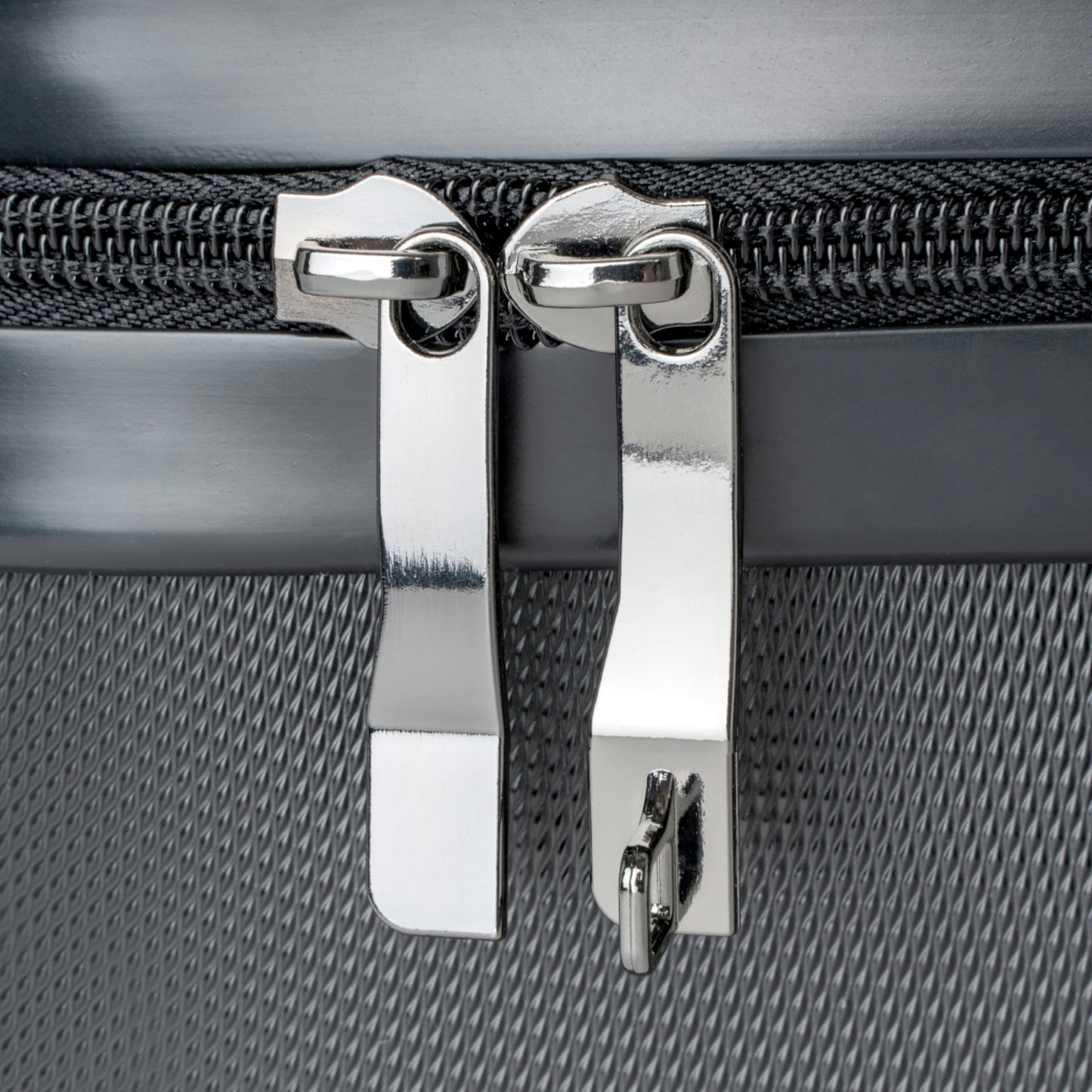 Tokyo Lion photo -Suitcases