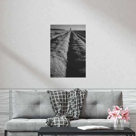 Beach Lines - Premium Matte Vertical Posters