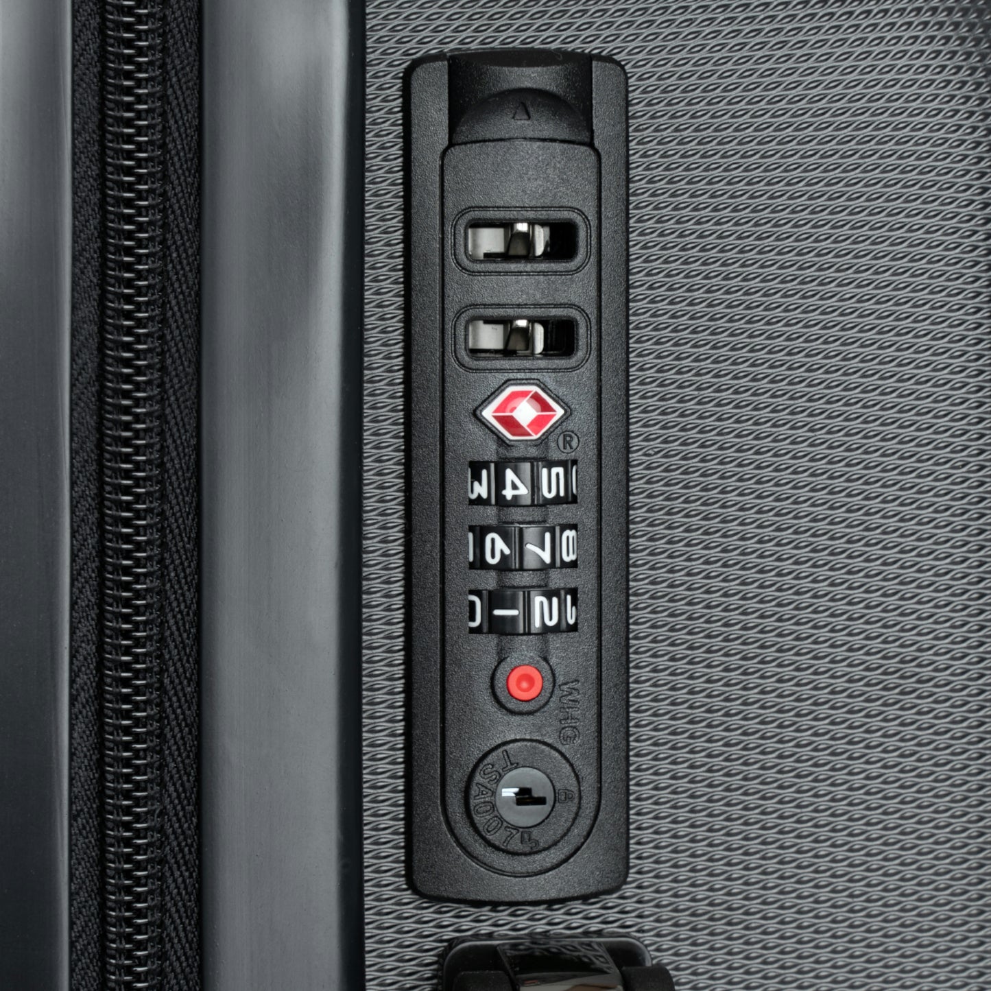 Tokyo Lion photo -Suitcases